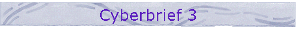 Cyberbrief 3